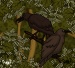 Alzana & Animon