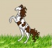 horse test ^.^