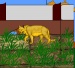 horse
