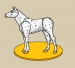 Spotted Horse Dress Up
