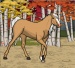 Western Horse Dress Up