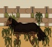 Cute Horse
