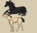 horse friends