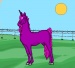 several horse