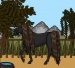 Dream Horse Maker