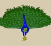Awsome