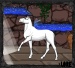 Legendary Horse Of Nagasha