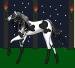a newer better horse dressup