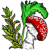 Large Plants